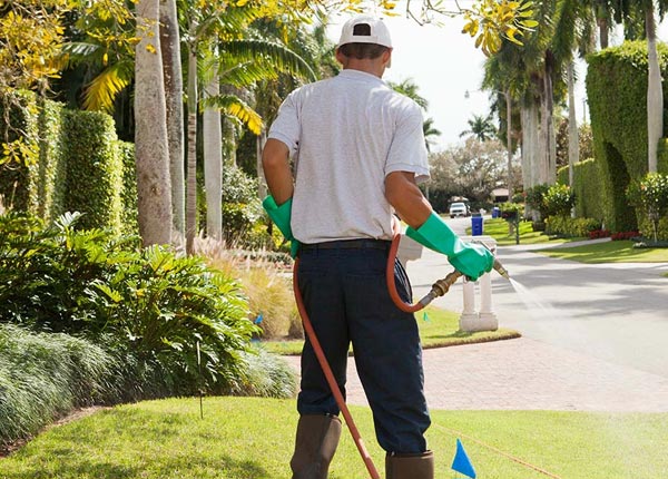About Girard PA Pest Control